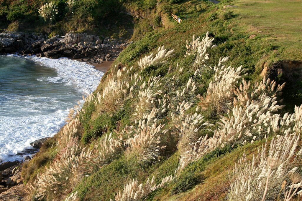 las mejores playas cerca de santillana del mar