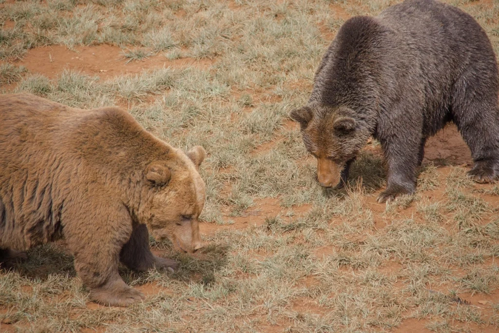 que hacer en cantabria con niños